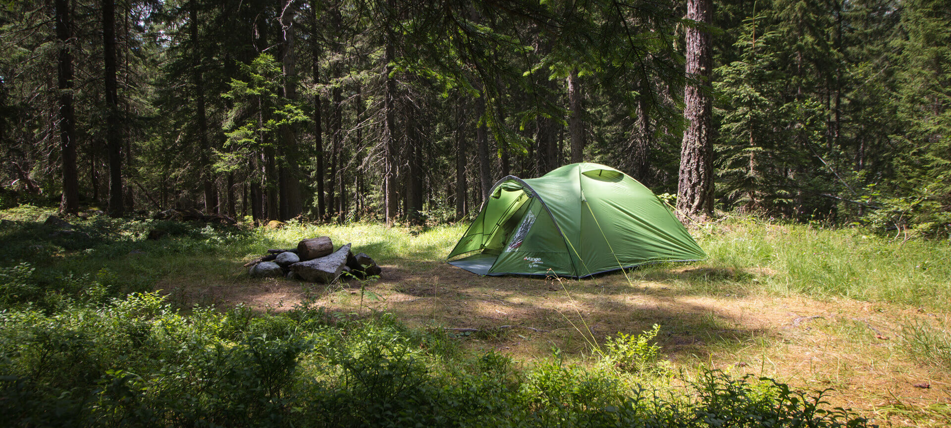 弗吉尼亚州ngo Tents