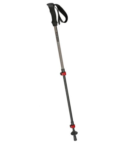 Pico Walking Pole