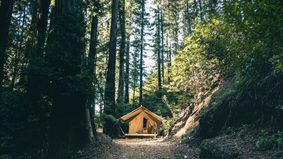 5 of the Best Family Glamping Sites in the UK